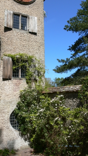 Bois des Moutiers (163) Mai 2012